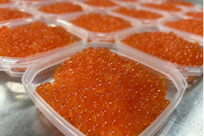 【これが本物！ツウも唸る！】圓子水産の塩いくら