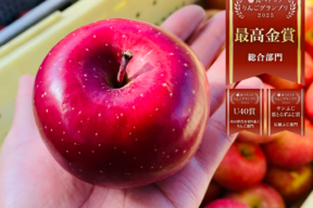 ⚠︎1月7日から発送🍎りんごグランプリ2025最高金賞1位🎊  サンふじ 5キロ箱小玉 食べきりサイズ20〜33玉程度 ID56576 長野県 信州 安曇野 リンゴ 幻 予約 旬 甘い