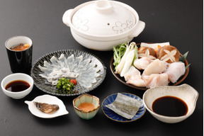 《お一人様用》とらふぐフルコース（刺身・鍋セット） 『焼きひれ／昆布／特製ポン酢／もみじおろし付き』【母の日ギフト】【メッセージカード付き】 プレゼント お祝い 誕生日 お歳暮 お中元 自分用