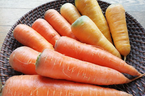 生でも美味しい掘りたて人参 栽培期間中農薬不使用 5kg 山形県産 食べチョク 農家 漁師の産直ネット通販 旬の食材を生産者直送