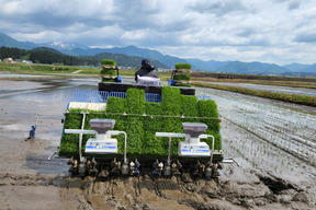 山形県産新米つや姫10kg(5kg×2袋)白米7年産