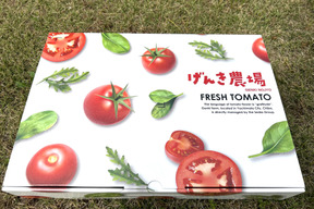【ギフト】《食卓に彩りを》ビビッドカラフルミニトマト(6パック)【トマト食べ比べ】