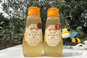 【今だけ500円OFF】♡国産天然はちみつ100%(300g)チューブ2個♡