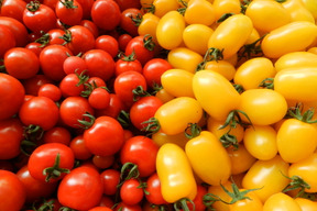 ◆予約販売★こだわり栽培の極み★糖度8度以上【完熟どれ】ミニトマト食べ比べセット（１ｋｇ）
一度食べたらハマる！こんなトマト食べたことない！しかも、農薬化学肥料不使用なんておどろき！