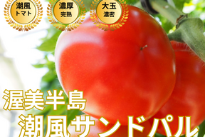 🍅知る人ぞ知るレアトマト🍅品種指定キャンペーン『潮風サンドパル』全国でもわずかな農家にしか育てられない超希少完熟トマト🍅お試約1㎏【朝どれ】【冬ギフト】【2月下旬予約】