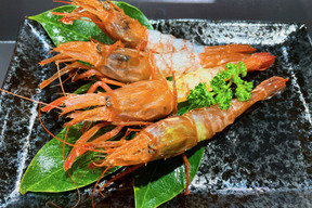 🌟人気の幻のガサ海老🌟　大きさ不ぞろい　県外に出回らなかった漁師町の幻の海老　250ｇ×2パック（箱なし）
