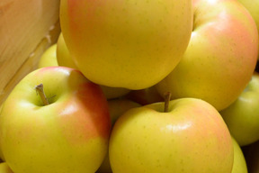 トキ 甘い果肉と香りが魅力！ 家庭用 2.5kg (7～12個)