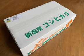 【令和７年新米】★農薬★化学肥料畜産堆肥不使用★新潟県産コシヒカリ５キロ玄米