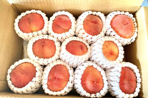 ご家庭用　桃　あかつき　小玉　約2kg 数量限定