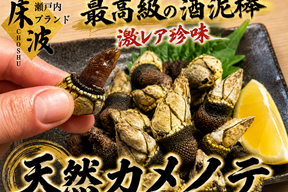 【高級バルで愛される幻の珍味】ヨーロッパで大人気珍味『天然カメノテ』長州床波ブランド☆約1000g【朝どれ】【11月予約】