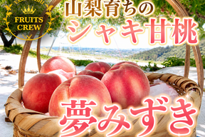 【清涼感ある硬質甘み 夢みずき】本場山梨の品種指定キャンペーン🍑シャキ甘い山梨オリジナル桃☆贈り物にも✨お試し約1㎏【朝どれ】🍑6月下旬予約🍑