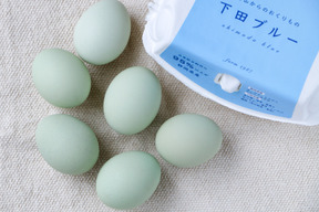 【母の日ギフト！メッセージカード付】オメガ３が普通の卵の４倍！24時間放牧養鶏卵、18個(6個×3パック)アローカナの産む幸せの青い卵、下田ブルー！！