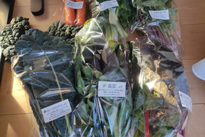 ✨【福袋】レアベジ・カボチャ含むお野菜セット（農薬・化成肥料不使用）おまけ付✨