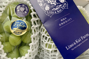 【 食べチョクアワード 4年連続受賞！】※訳あり フルーツ王国・岡山県産シャインマスカット３～4房　2㎏以上（化粧箱入り）