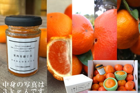 【福袋】甘～い完熟みかんや希少柑橘の食べ比べに果肉たっぷりみかんジャムも！12月下旬の年内発送！年末年始に家族でワイワイ♪♪「旬のこだわり柑橘食べ比べ福袋」家庭用　約5kg入【商品番号1102】