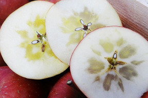 ☆３００セット限定☆

溢れる果汁♪『 樹上完熟サンふじ』　 約５kg１４～２０個