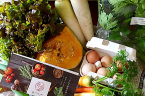【季節のお野菜】さいのね畑の野菜セット[大]＋たまごセット