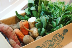 寒暖差が美味しさの秘訣！高原野菜セット【M: 2〜3人用】
