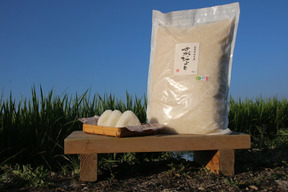 【1年度】冷めても美味しい！さがびより（白米5kg）