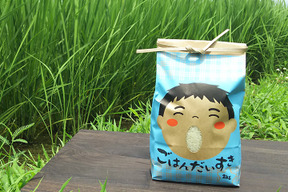 新米 ごはん大好き 菜園家族の旅するお米 コシヒカリ 玄米 ２０kg 兵庫県産 食べチョク 農家 漁師の産直ネット通販 旬の食材を生産者直送