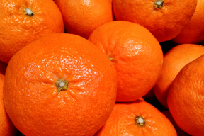 《豊作割引》【家庭用】甘平 2kg ギッシリ果肉のシャキシャキ食感♡愛媛限定高級柑橘♫愛媛みかん！！