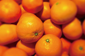 《発送開始》頂みかん5ｋｇ【翌日発送 平日便 対応】