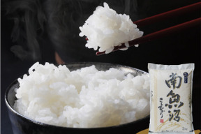 【令和7年産　新米】南魚沼産こしひかり2kg【特A塩沢地区のお米100％】