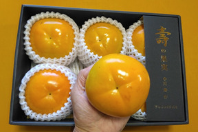 【南砺市投稿キャンペーン対象商品】甘柿『 太秋柿 』甘くて美味しい　小箱サイズ４Ｌ・５個・１.６kg以上化粧箱入り