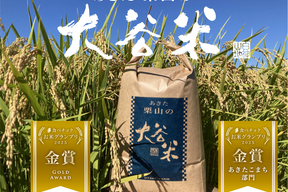 【福袋】お米グランプリ2025 金賞 【令和7年度 新米】精米 4.5kg あきたこまち 「大谷米」もっちり甘い 単一農家米100%！