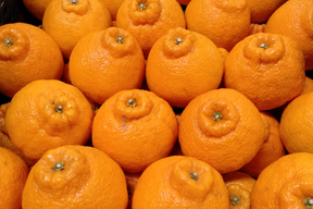 《豊作割引》【家庭用】不知火 4.5kg 糖と酸のせめぎ合い♡スッキリ系ジューシー柑橘♫愛媛みかん！！デコ！！