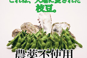 農薬不使用ミネラル枝豆！鮮度保持袋郵送！