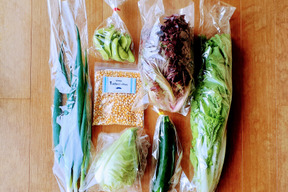 【父の日ギフト】まあるくはじけるポップコーン付き☆信州四賀より里山の旬野菜セット【mini　6品目】