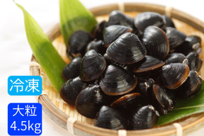 もはや常備品 大粒で食べやすい 冷凍しじみｌ1 8ｋｇ 900ｇ ２ 砂抜き済み島根県宍道湖産味噌汁36杯分 島根県産の貝類 食べチョク 産地直送 産直 お取り寄せ通販 農家 漁師から旬の食材を直送