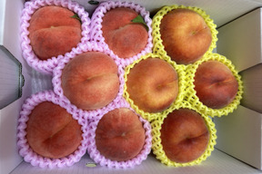 【朝どれ】お買い得!まるせい果樹園の桃　黄桃と晩生種の詰め合わせ【おまかせ】2kg(6～11玉入り)自家用　贈答用  mix2