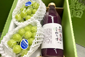 【夏ギフト】シャイン2房+濃厚ぶどう100%ジュース1本