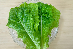 有名焼肉店使用！農薬不使用・水耕栽培サンチュ（10枚×5袋）