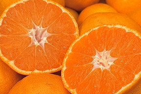 【むいたら最後、止まらない】甘味×酸味が絶妙！ 福みかん《ご家庭用 5kg》｜サイズ混合｜愛媛・西宇和産