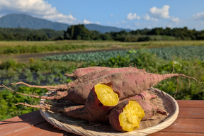 ほっくり、しっとり  栗かぐや ご家庭用  2kg