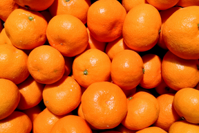 【家庭用】愛媛みかん 5.5kg(小玉サイズ) ひとくちで恋する♡濃い味みかん♪【冬ギフト】