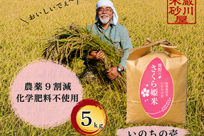 【新米 令和8年産】「ちょっと贅沢、ずっと美味しい。」鹿野のさくら姫米｜いのちの壱　5ｋｇ