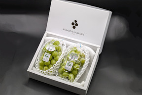 【プレミアム贈答】シャインマスカット2房（約500g×2房＝約1kg）長野県認証/特別栽培同基準（信州の環境にやさしい農産物認証50）【冬ギフト】【福袋】