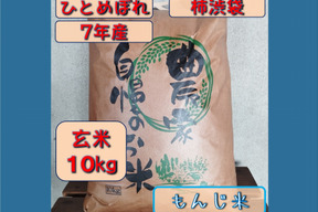 【新米】7年産 ひとめぼれ 玄米10キロ 柿渋袋 宮城県栗原市産