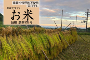 ◆令和7年新米◆農薬化学肥料不使用・天日干し◆白米粒が光る最高級棚田米 農林22号 滋賀県大津産 玄米2kg