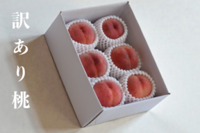 【訳あり】【数量限定】【朝どれ】傷・不揃いあり|味はそのまま、おうちで気軽に旬の桃 約2kg 約4~7玉