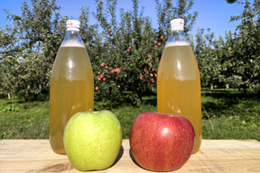 違いがわかる　無添加りんごジュース飲み比べセット 1000ｍｌ×６本