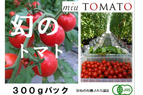 【お試し300g】安心と安全を！名古屋の《極甘》有機栽培ミニトマト【飯田農園】miuトマト