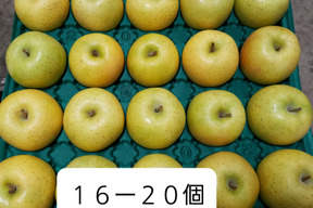 これが本場の王林です!!!!!!!!
⭐黄色いりんごの王様⭐
完熟　王林　　家庭用５kg１６ー２3個