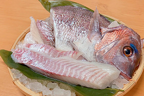 【夏ギフト】捌いた状態で届く‼真鯛1尾食べ尽くし【3～4人前】※三枚卸し処理済《冷凍Firesh®》