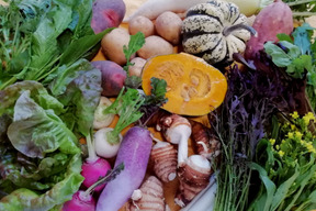 野菜セットL(栽培期間中農薬不使用)