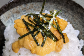 【ご入学＆ご卒業のお祝いに！】たっぷり3パック★冬限定/高級うに★甘みと旨味の宝庫「天草特産白ウニ（100ｇ）✕３」熊本天草直送品